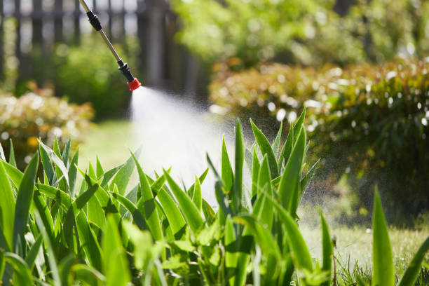 24/7 Emergency Wasp Removal experts in Huntingburg, IN
