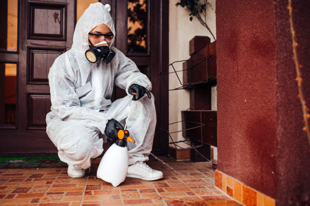 Reliable Wasp Removal contractor in Huntingburg, IN by Show Me Pest Control