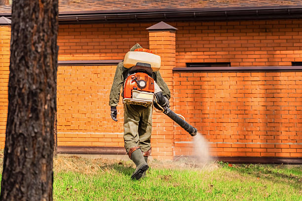 Top rated local Wasp Removal specialists in Huntingburg, IN